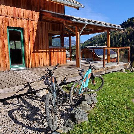 Stadl an der Mur Panorama-Chalet Alpengloeckchen מראה חיצוני תמונה